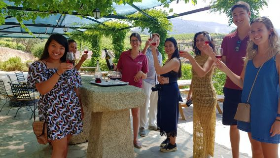 Desde Oporto: Recorrido por 3 viñedos del Valle del Duero con almuerzo