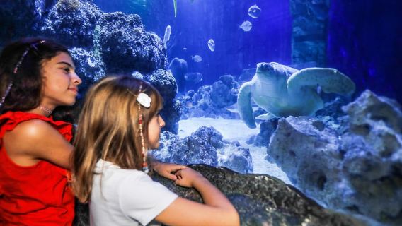 オーバーハウゼン:SEA LIFE オーバーハウゼン入場チケット