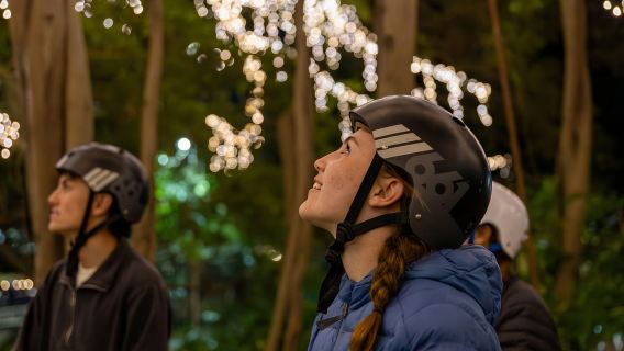 2.5 Hour Brisbane: Sightseeing Tours - Morning & Night