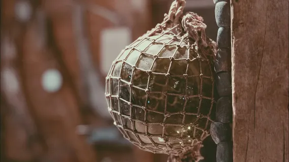 Svolvær: Northern Lights and Full Steam Cruise with Tasting