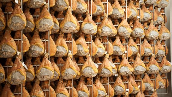 Из Болоньи: экскурсии и дегустации на фабрике сыров и ветчины Пармы