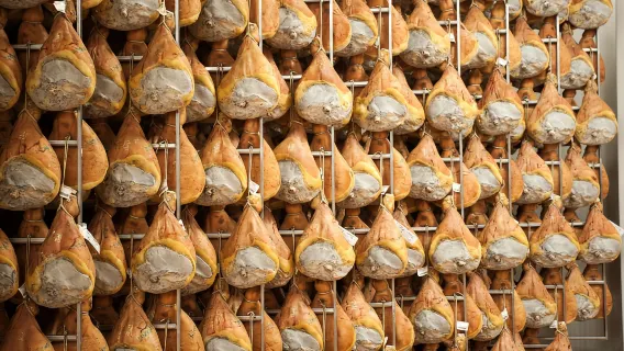 Dari Bologna: Tur dan Pencicipan Pabrik Keju & Ham Parma