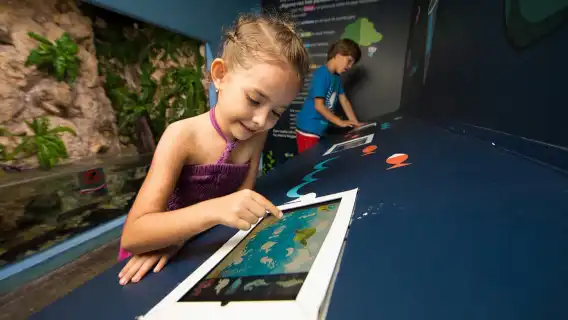 Cancún: Interactive Aquarium Admission