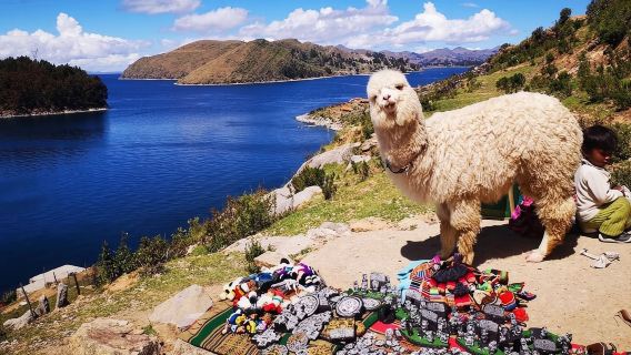 From Puno || Excursion to Copacabana and Sun Island ||