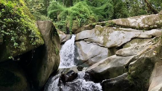 Trekking History and Indigenous Heritage in Minca + Cacao & Coffee + Waterfall