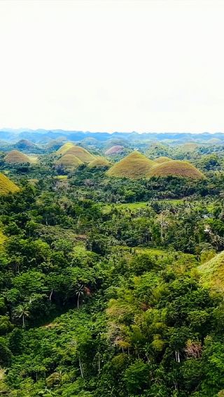 Bohol Countryside Tour by Southwest Tours