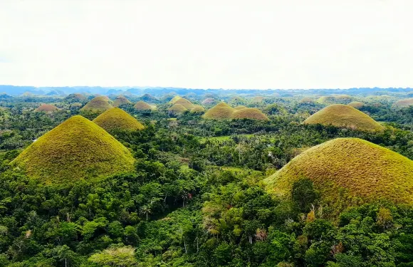 西南旅行社嘅保和（Bohol）鄉村遊
