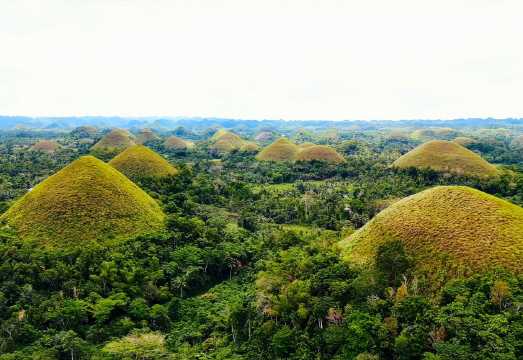 Bohol Countryside Tour by Southwest Tours