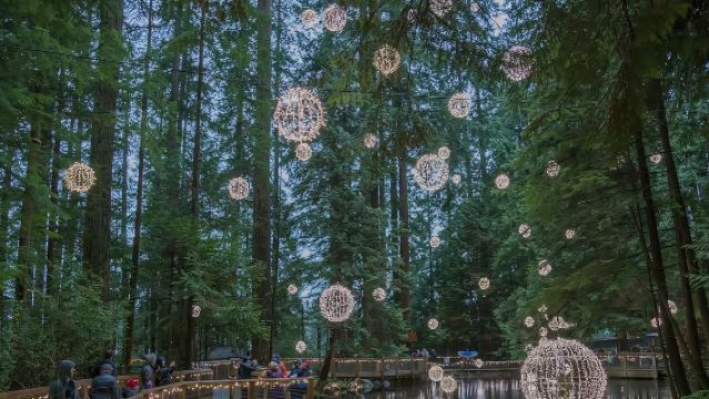 加拿大溫哥華精華一日遊 - 可訂製【中文包車自由行】