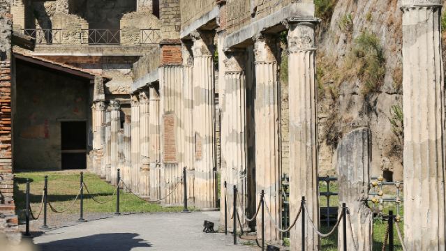  Pompeii and Herculaneum - Private Tour with Priority Access