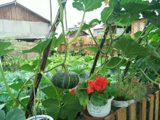 Others 3, Artic Village Yujiangchun Farmer's House, Daxing'anling