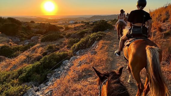 Golden Hour Gallop: Evening Ride in Paros