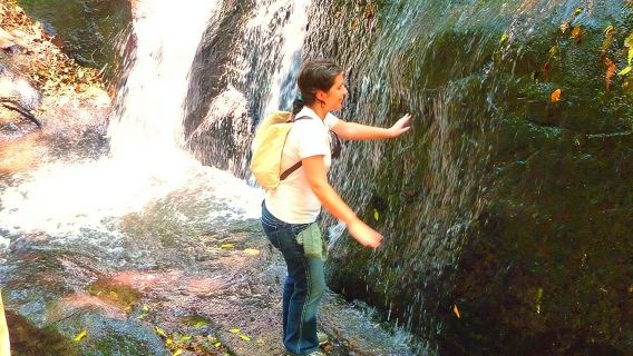 Berjalan ekologi di sao paulo