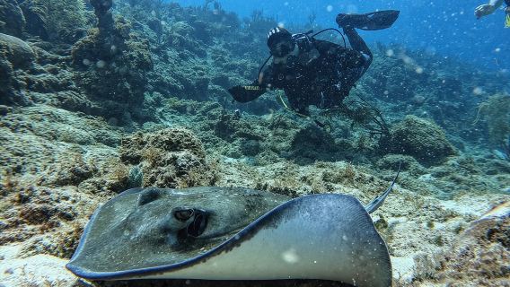 ประสบการณ์ดำน้ำส่วนตัวสำหรับมือใหม่ในหมู่เกาะซานอันเดรส