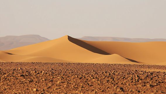 Assaka and Tiznit off-road tour