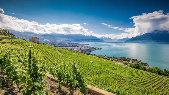 Glacier 3000 and Montreux bus day trip from Lausanne