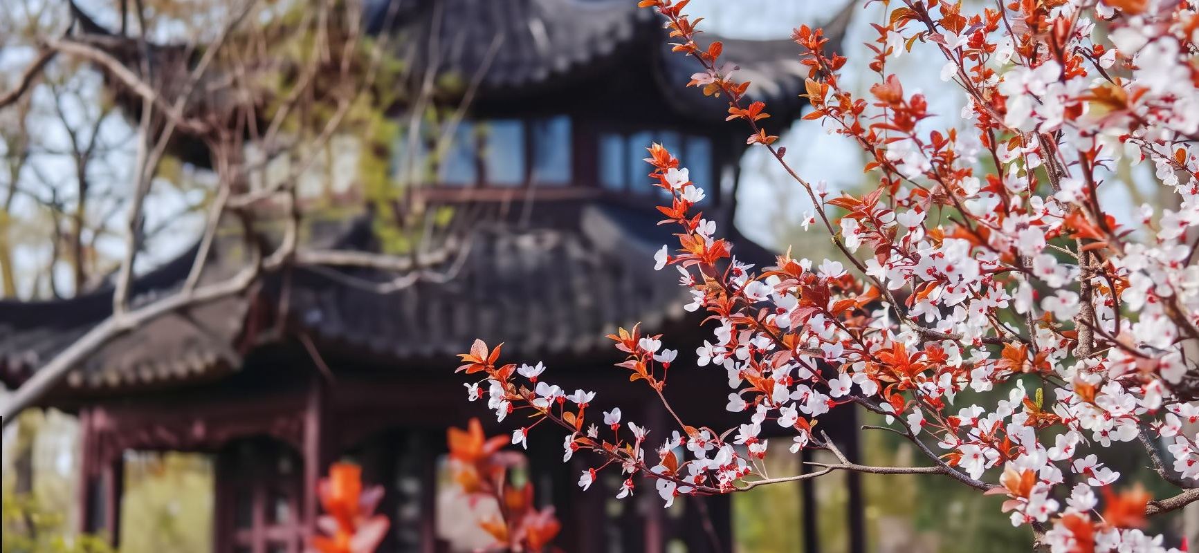 Shanghai to Suzhou Private Tour:Humble Administrator's Garden+Hanshan Temple+ERA Acrobatic