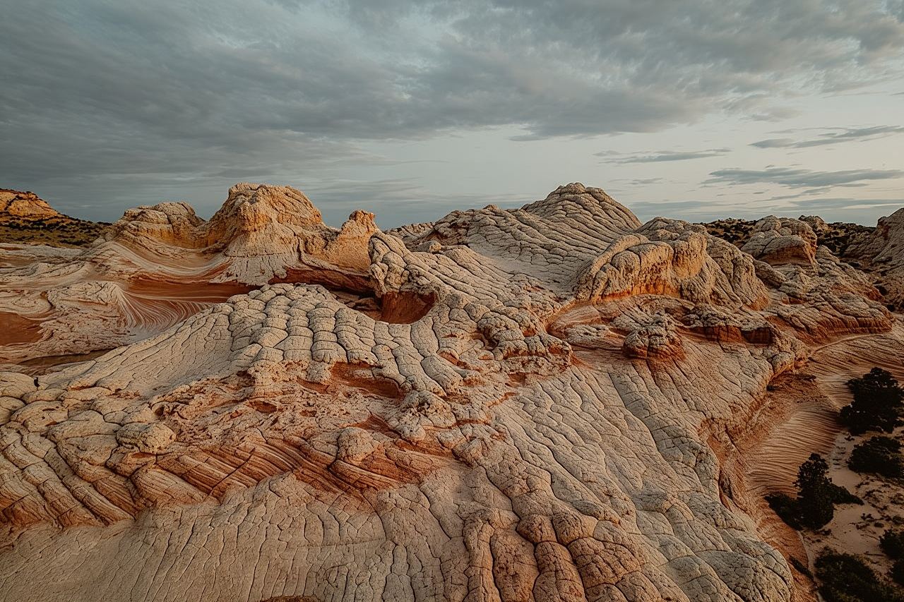 화이트 포켓 어드벤처