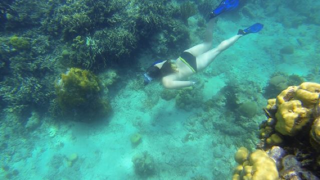 Snorkeling on The Caribbean side of Panama