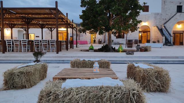  Wine and Food Pairing Experience at Alberobello Winery