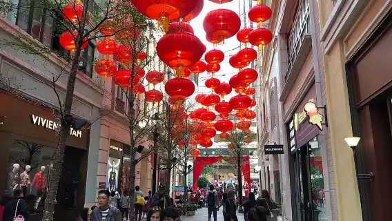 4-Hour Private Hong Kong Layover Tour