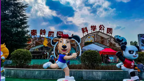 Qizai-The World's Only Brown Panda-Xi'an Panda Day Tour-Qinling Four Treasure Science Park