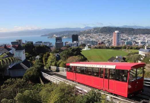 Discover Wellington 3 hour City Tour