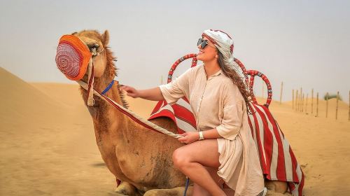 Red Dunes Desert Safari with BBQ Dinner, Camel Riding & Live Show Day Tours 5