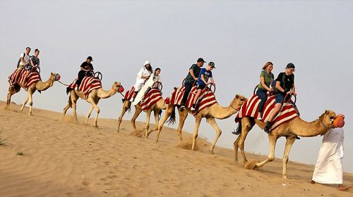 Abu Dhabi Al Khayma Seahorse Morning Dune Bashing Experience Day Tours 3