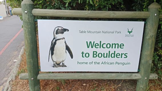 Cape Of Good Hope dan Penguin melihat Lawatan Hari Peribadi