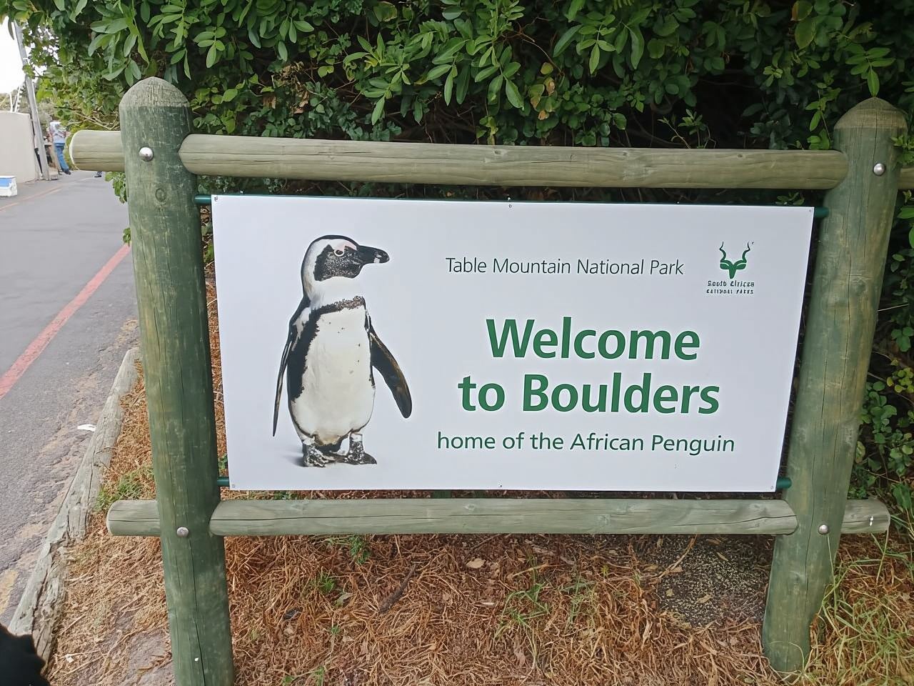 Tour privato di un giorno al Capo di Buona Speranza e all'osservazione dei pinguini