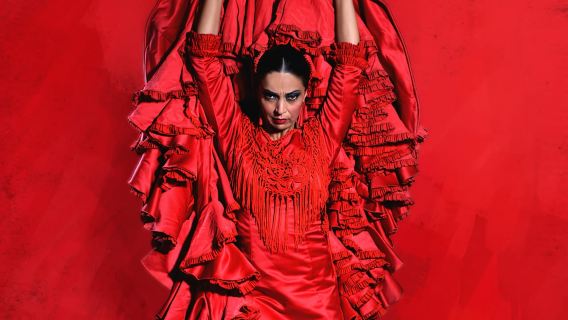 Barcelona: Espectáculo de flamenco en directo "Inspiración"