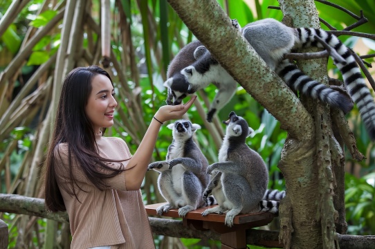 Tiket masuk Bali Zoo
