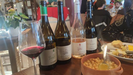 Desde Catania: Caminata guiada por el Etna, vinos y aperitivos