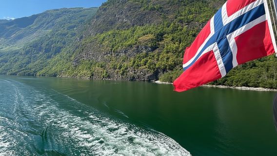 Bergen: Nærøyfjorden, Flåm, and Stegastein Guided Bus Tour