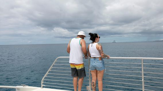 Hawaii: Waikoloa Whale Watch
