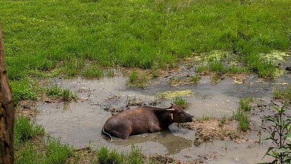 AUTHENIC 2D1N Trek & Bungalow Retreat with Dinh Hmong Family