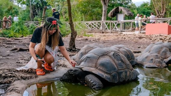 Zanzibar: Lawatan Persendirian Bandar Batu dan Pulau Penjara