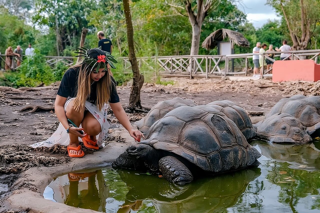 Zanzibar: Stone Town and Prison Island Private Tour