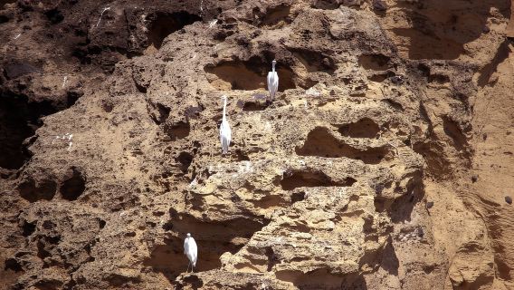 Ilhéu de Vila Franca: recorrido geográfico guiado por el interior de la reserva natural