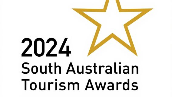 Hidden Adelaide: Laneways & Street Art Tour