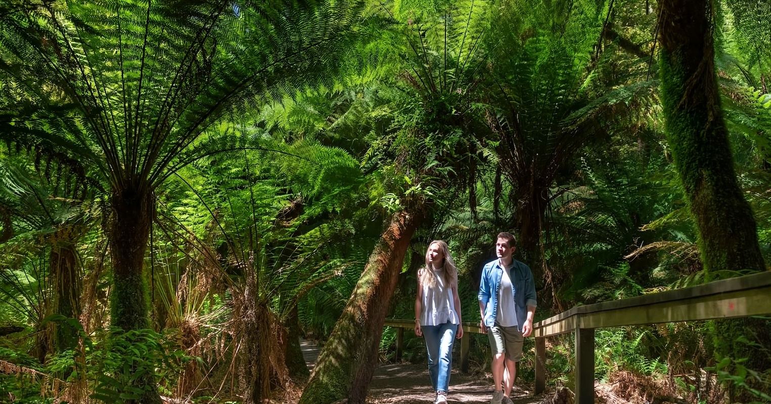 [ทีมงานมืออาชีพ] ทัวร์ 1 วัน เมลเบิร์น Great Ocean Road + Twelve Apostles (มีไกด์ภาษาอังกฤษและจีน)