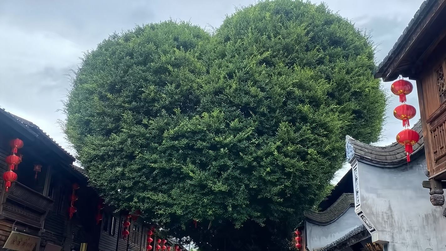 Three Lanes And Seven Alleys + Shangxia Hang Historical Street + Yantai Mountain Historical and Cultural Block + Heart of Min River