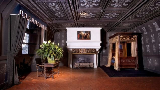 Входной билет в замок Шенонсо