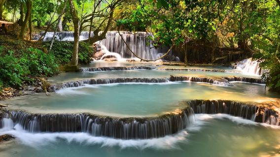 Full Day bamboo experience with cooking class & Kuang si waterfalls