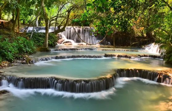 全天竹林體驗,包含烹飪課程和光西瀑布之旅