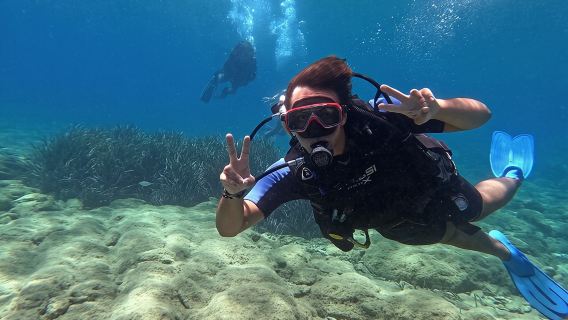 Heraklion: Scuba Diving Experience for Beginners