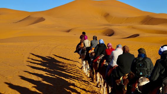 Camel Ride With Luxury Desert Camp And Night In Merzouga Dunes