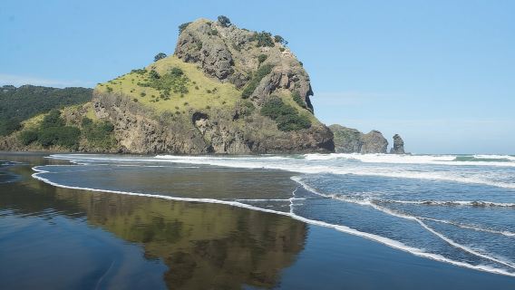 Coast and Rainforest Eco-Tour from Auckland with Lunch