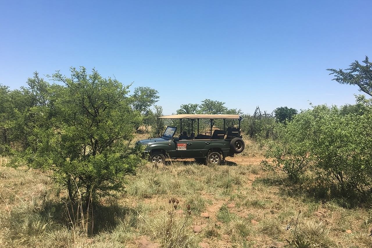 Half Day Safari Tour from Johannesburg